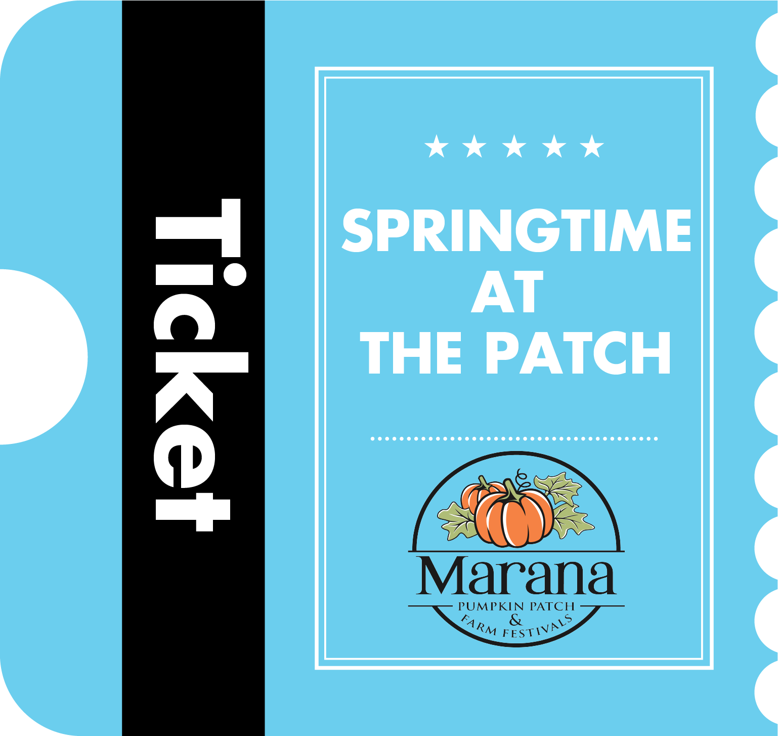 Springtime Marana Pumpkin Patch springtime-marana-pumpkin-patch